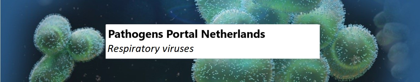 Respiratory viruses